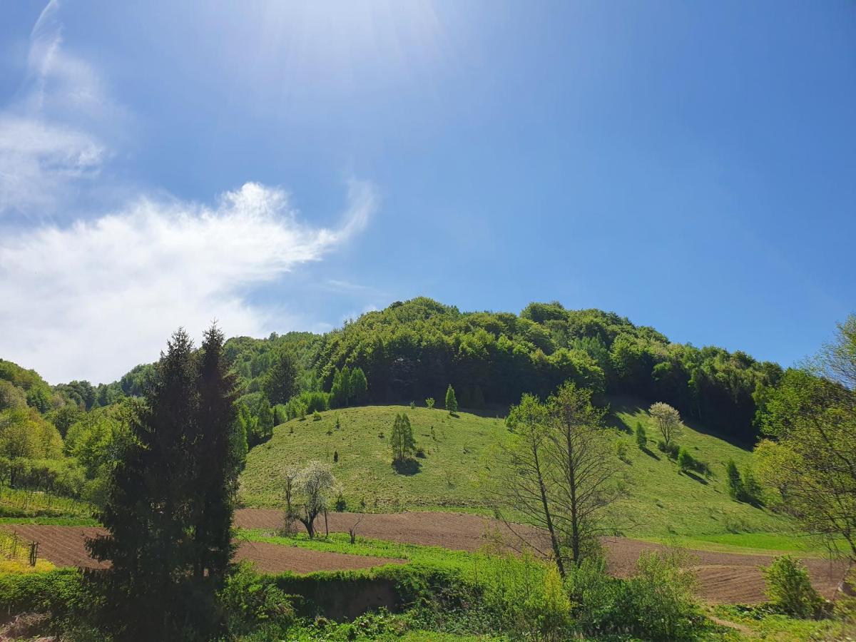 Planinsko Jutro - Brzece Centar Apartments, Kopaonik Eksteriør bilde